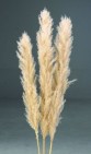 d-f051